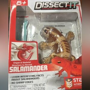 STEM Salamander Learning Toy - Red and Brown